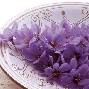 Natural Saffron,we sale Natural Saffron,Natural Saffron price,iranian saffron price,iranian saffron supplier,iranian saffron seller,saffron eshop,saffron