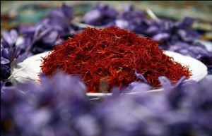persian saffron,sell saffron,sale saffron,wholesale saffron,saffron seller,persian saffron seller,supplier persian saffron,persian saffron price
