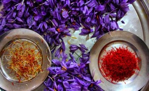 Manufacturers of saffron,Manufacturers of saffron iran,wholesale saffron,iranian saffron price,saffron seller,saffron supplier,saffron eshop,red saffron,bulk saffron,sargol saffron,price of saffron,iranian saffron seller