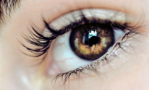 Saffron and prevention of blindness,saffron seller,sale saffron,iranian saffron,sale iranian saffron,iranian saffron seller,persian saffron seller,saffron iran seller